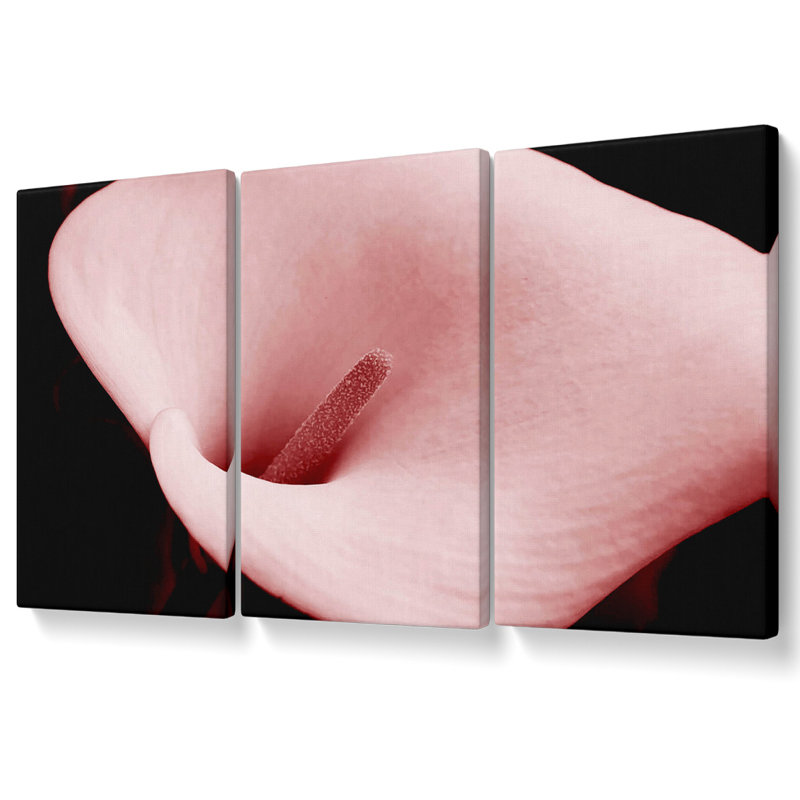 Ebern Designs Perfection - 3 Piece Wrapped Canvas Graphic Art | Wayfair ...