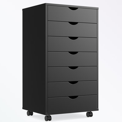 Classeur de rangement Shalisha de 18,74 po de largeur
