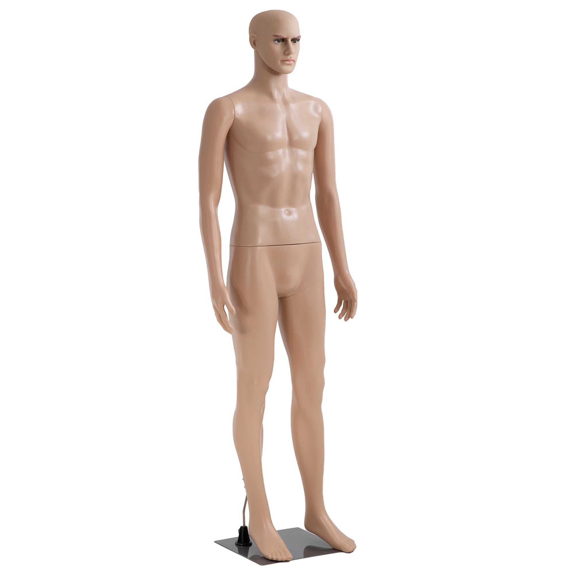 FDW Male Mannequin Full Body 73 H x 16 W x 12 D Dress Form