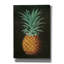 «Vintage Pineapple 2» par Wild Apple Portfolio, art mural sur toile, 18 po x 26 po-331420316