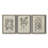 " Antique Black And White Botanical VII " 3 - Pieces-408395200-408394297