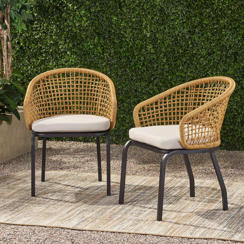ARIAS CHAIR