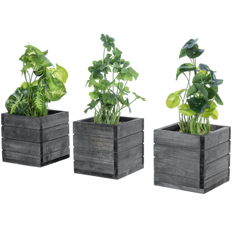 3 - Piece Artificial Evergreen Plant in Wood Pot Set