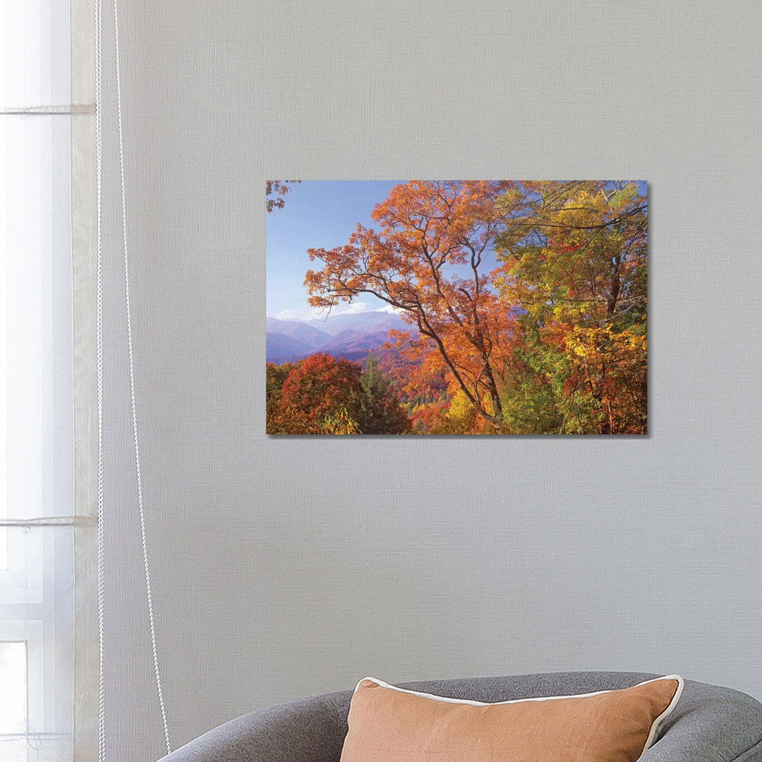 Great Smoky Mountains From, Blue Ridge Parkway, North Carolina by Tim Fitzharris - Wrapped Canvas Print