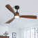 Karlena 52'' Ceiling Fan with LED Lights and Remote Control