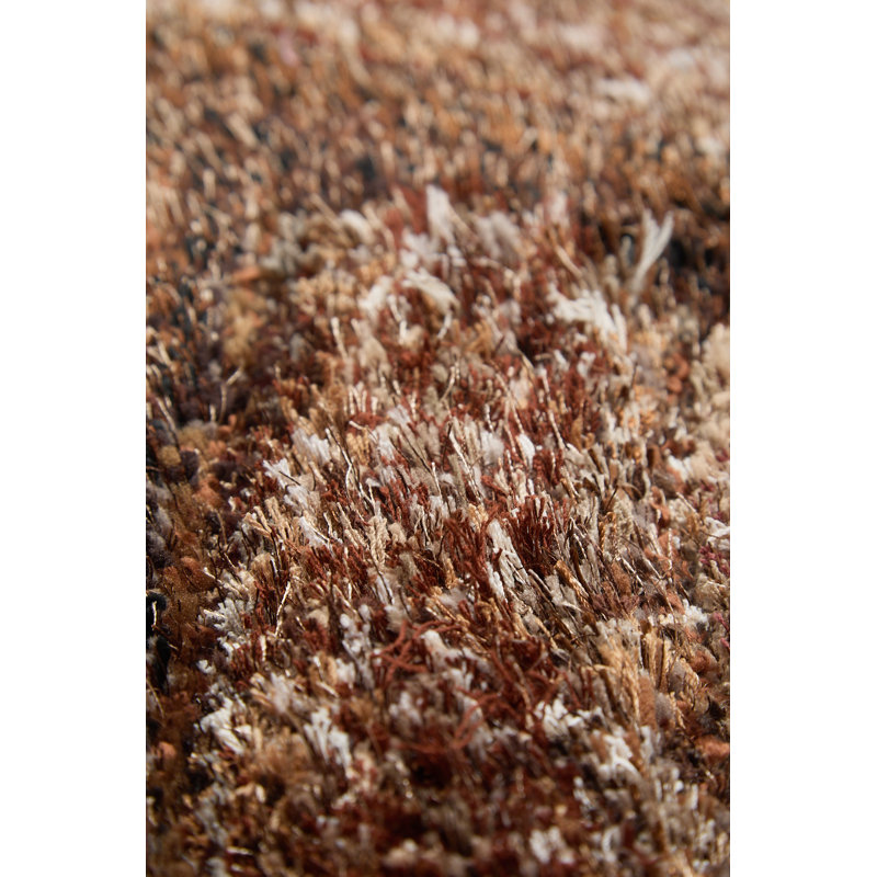 Anura 160cm X 230cm Area Rug