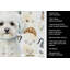 Serviette de cuisine Bichon Frise-1234934738