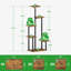 Plant Stand - Set of 5