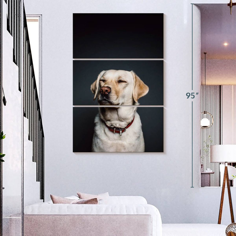 Brampt loufoque le Labrador, H 38 po x l 24 po