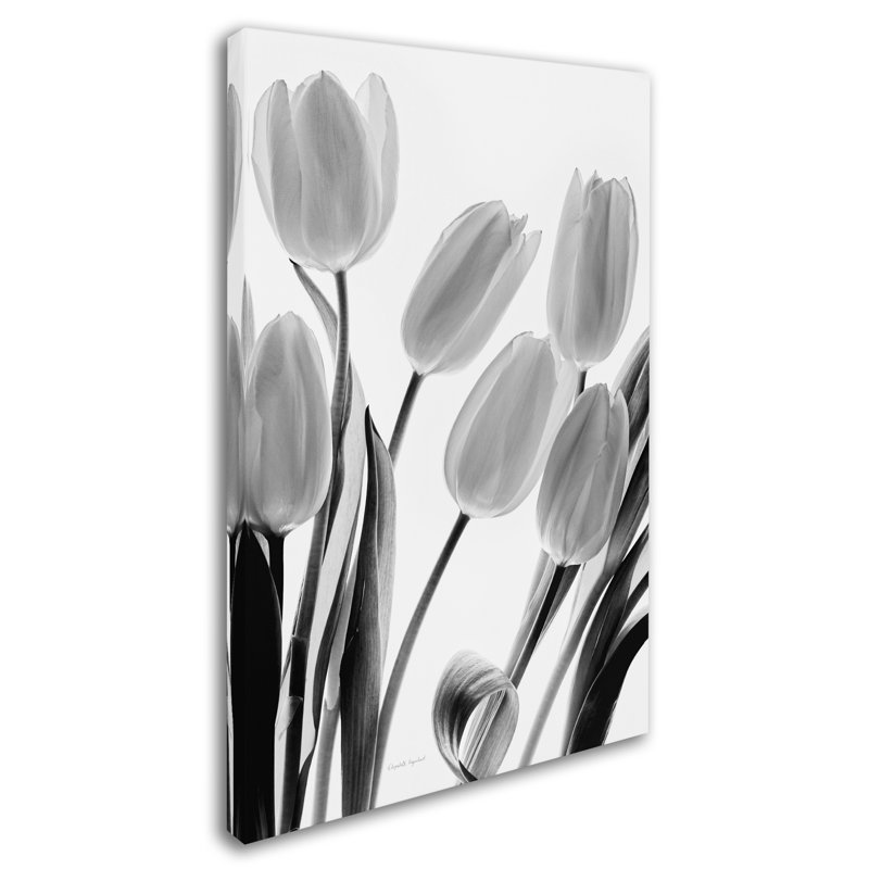 Davlin «Shadows and Light I», impression sur toile tendue, H 24 po x l 16 po