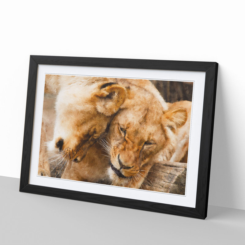 Cuddling Lions - Picture Frame Painting, Black Framed, 36cm H x 48cm W x 2cm D