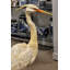 Porcelaine Shore Bird avec base bronze bronze