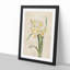 White Daffodils by Pierre-Joseph Redoute - Picture Frame Art Prints-55612666-55612664