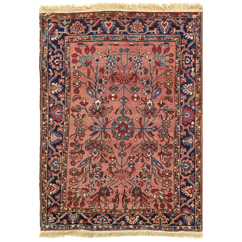 Mahbuba Wool Oriental Area Rug in Rose