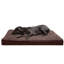 Coussin orthopédique Snuggle NAP Deluxe-1537794345-1577706407