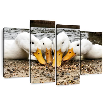 Pekin Ducks de Brampt