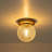 Aurevia 1-Light Bubble Glass Flush Mount Ceiling Light