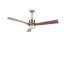 Kaytrin 130cm Ceiling Fan with LED Lights