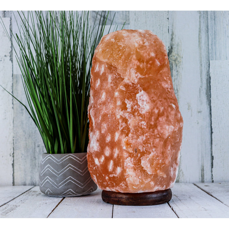 Sharrona 28 Lb. Novelty & Humor Themed Salt Lamp
