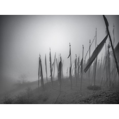 Landscape & Nature Print by Mark Paulda