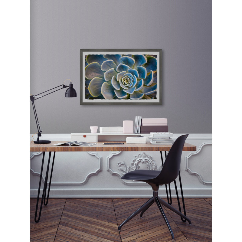 Budding Succulent - Single Picture Frame Painting, 61 cm H x 91 cm W