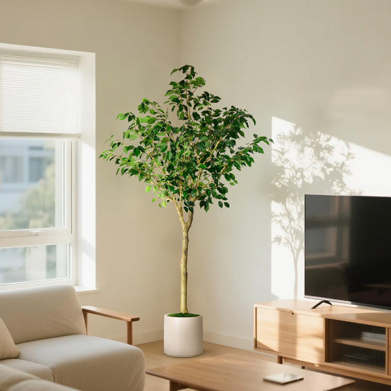 Ficus artificiel en pot décoratif blanc, H 78,75 po x l 41,25 po x P 39,5 po