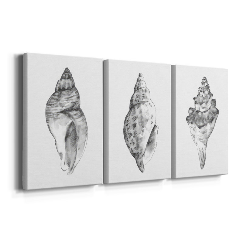 Quiet Conch I - Toile tendue avec châssis sur mesure - 3 pièces, H 12 po x l 24 po, Impression sans cadre