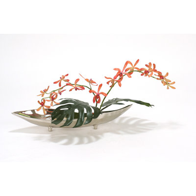Orchid Arrangement