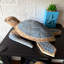 Figurine décorative de tortue marine en bois bleu côtier, avec détails sculptés blanchis à la chaux, 30 cm de large