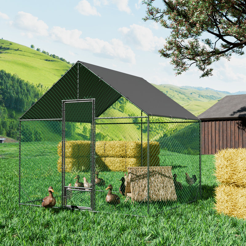 Chicken Run, 276cm H x 300cm W x 207cm D