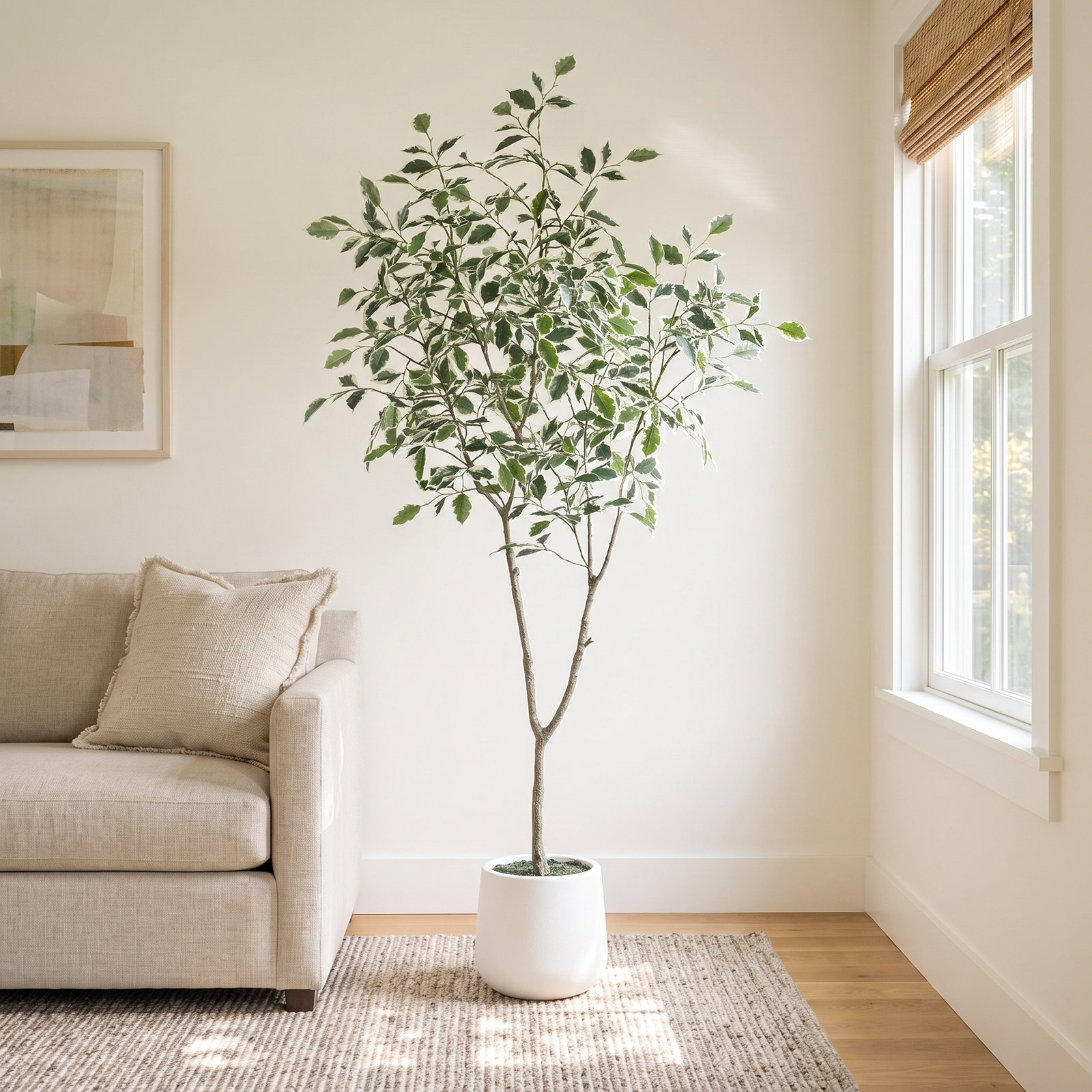 Adagio Ficus Tree in Pot, 60" H x 20" W x 20" D