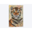« tiger cub portrait », impression sur toile-33109936-72401085-72401079