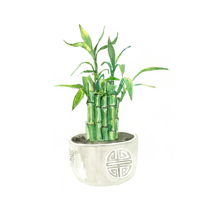 Spa and Zen Bamboo Pot 2 - Impression sur toile tendue, L 12 po x H 16 po