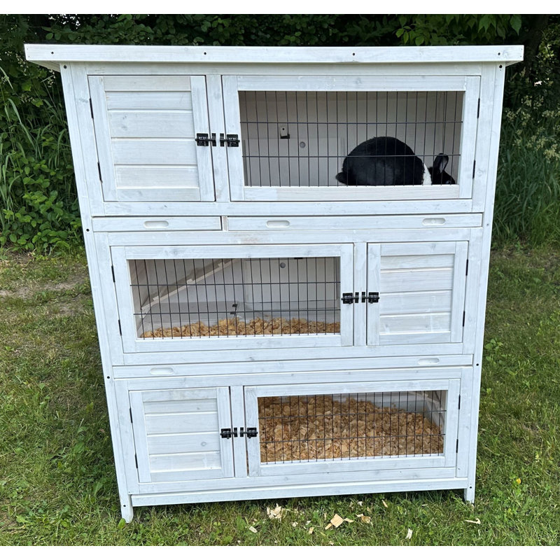 Cage à lapin 