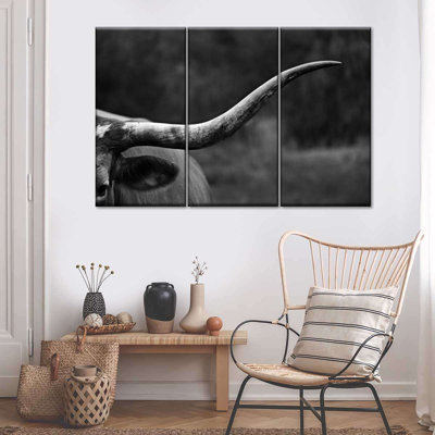 " Texas Longhorn Cattle " 3 - Pieces