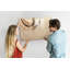 Magnetic Glass Dry Erase Board