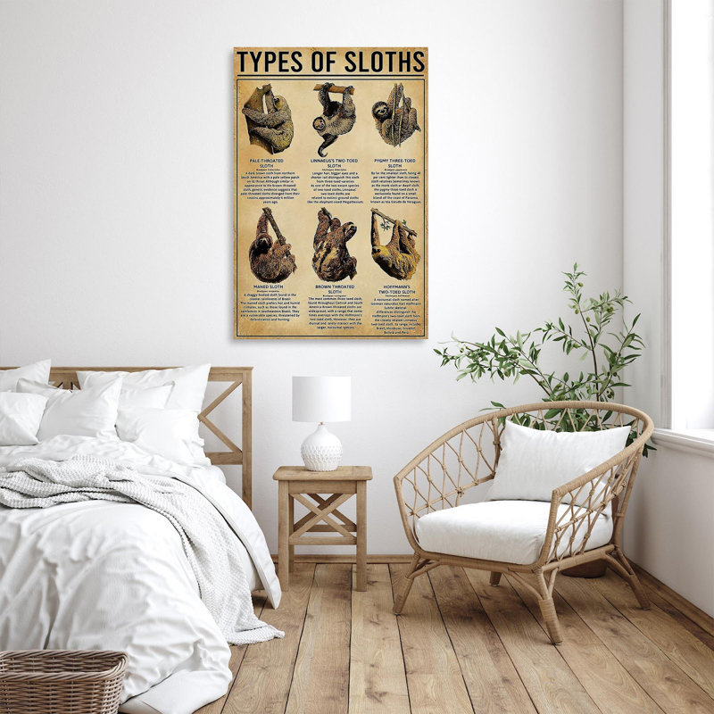 Sloth Types Of Sloths - 1 Piece Rectangle Graphic " Sloth Types Of Sloths - 1 Piece Rectangle Graphic Art Print On Wrapped Canvas "