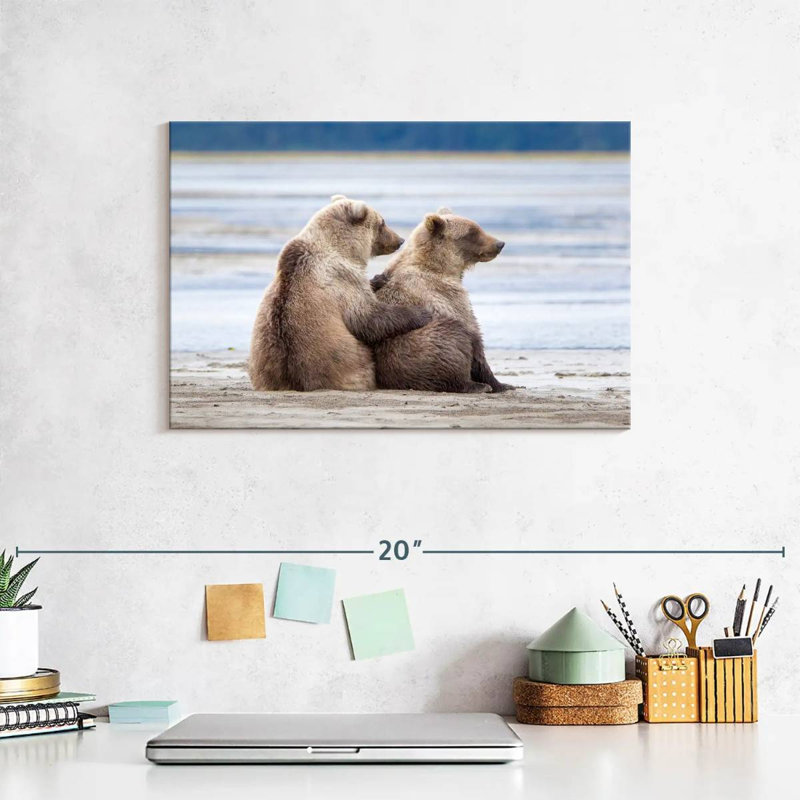 Brampt Bear Cub Siblings, 8" H x 12" W