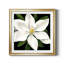 «Midnight Magnolia I», reproduction encadrée de qualité supérieure - prête à être accrochée-1312906268-1312906262-1312969341