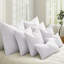 Inserts de plumes et duvet 26 x 26 (paquet de 2), coussins décoratifs pour lit, canapé et coussin-100887431