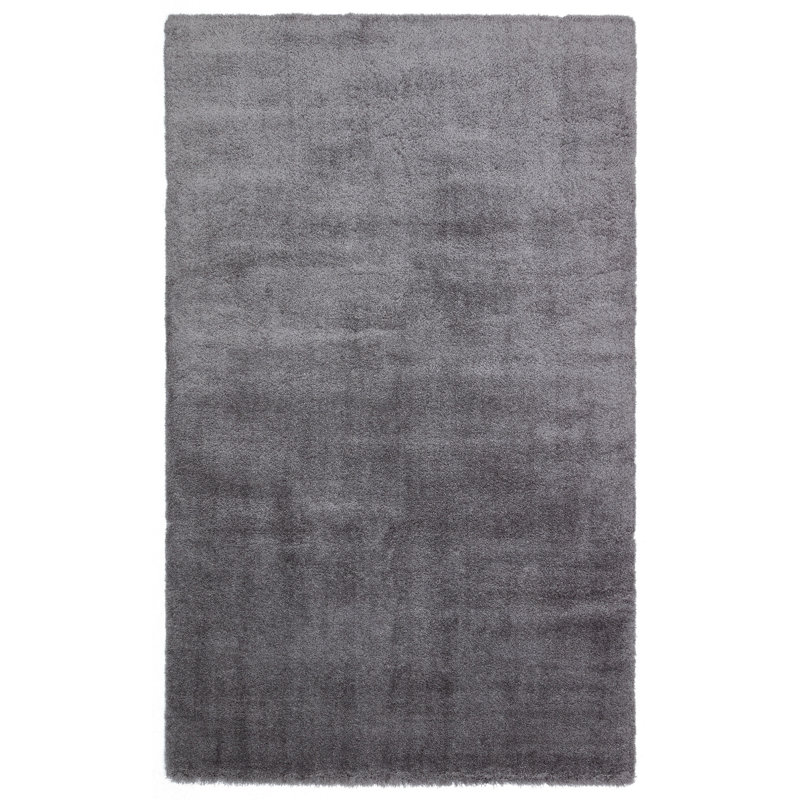 Soft & Durable Hall Carpet, Anthracite, 39.4 x 78.7 inches | 100% Micro Polyester, 1.2 inches Pile Height | Machine Woven, 2.6 lbs/sq ft | Easy to Clean with Vacuum & Spot Remover | Perfect for Entryways & Living Rooms