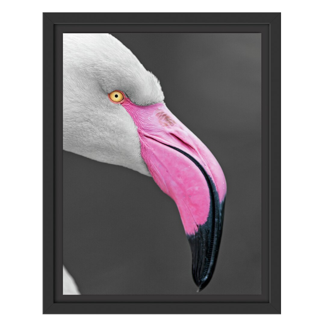 Gerahmtes Wandbild FlamingoSeitenprofil