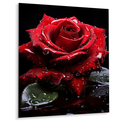 " Red Black Rose Elegance III "