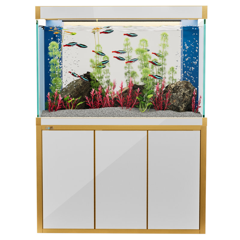 Réservoir d'aquarium rectangulaire, Blanc / Doré, 175 gallons (H 61 po x l 59 po x P 19,7 po)