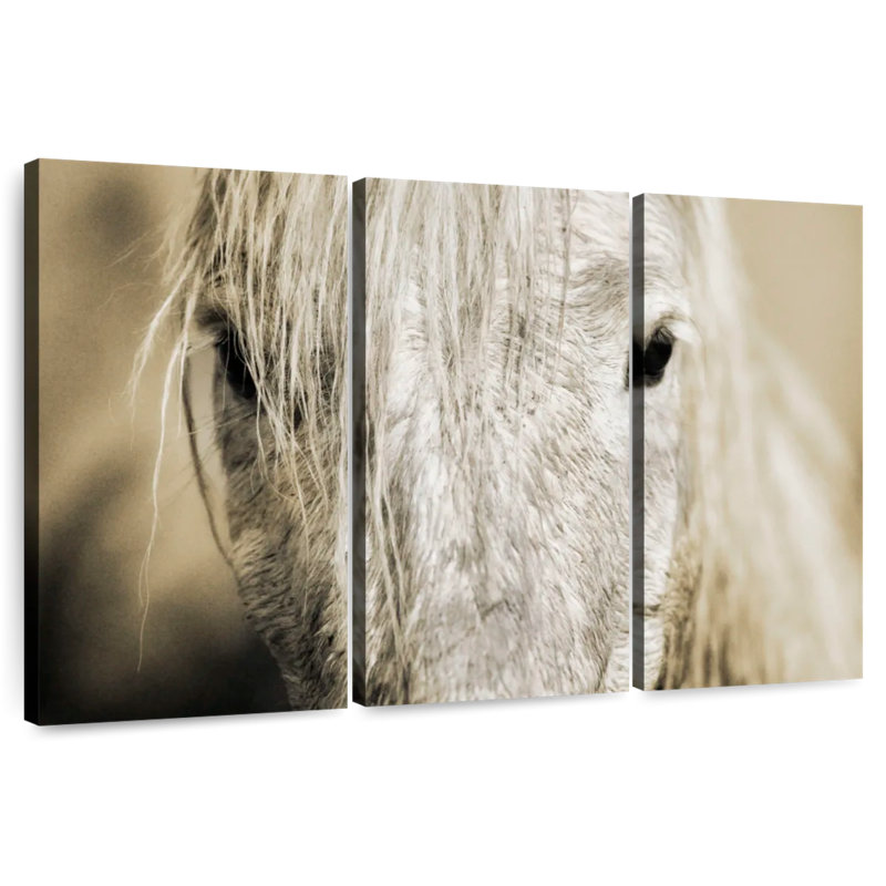 Chevaux blancs de Camargue dans le sud de la France I, H 48 po x l 74 po
