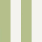 Graham & Brown Quartet Green Wallpaper