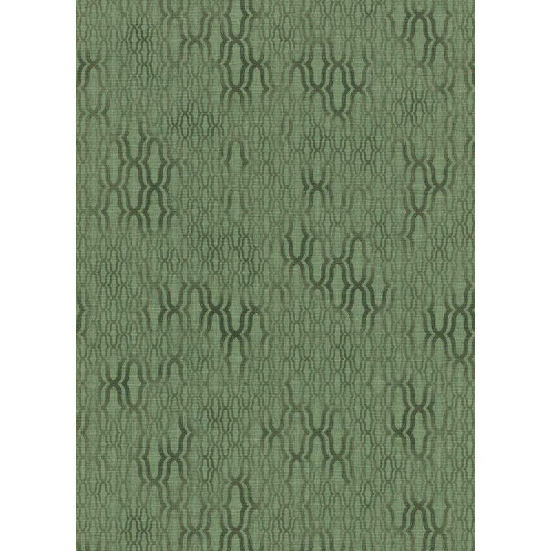 Rouleau de papier peint L 33 pi x l 21 po, Vert