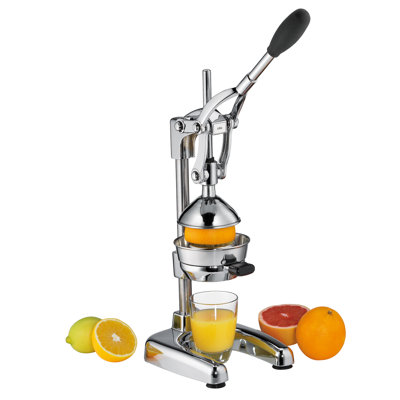Citrus Juicer