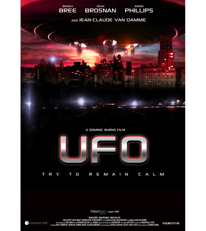 UFO, 18" H x 13" W