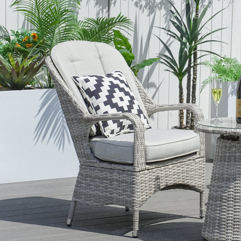 Algird Patio Dining 2 Piece Chairs With Cushions